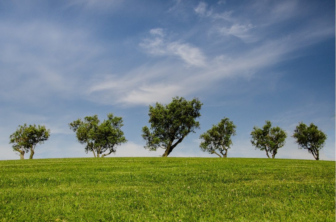 पर्यावरण दिवस - poem on environment day in hindi